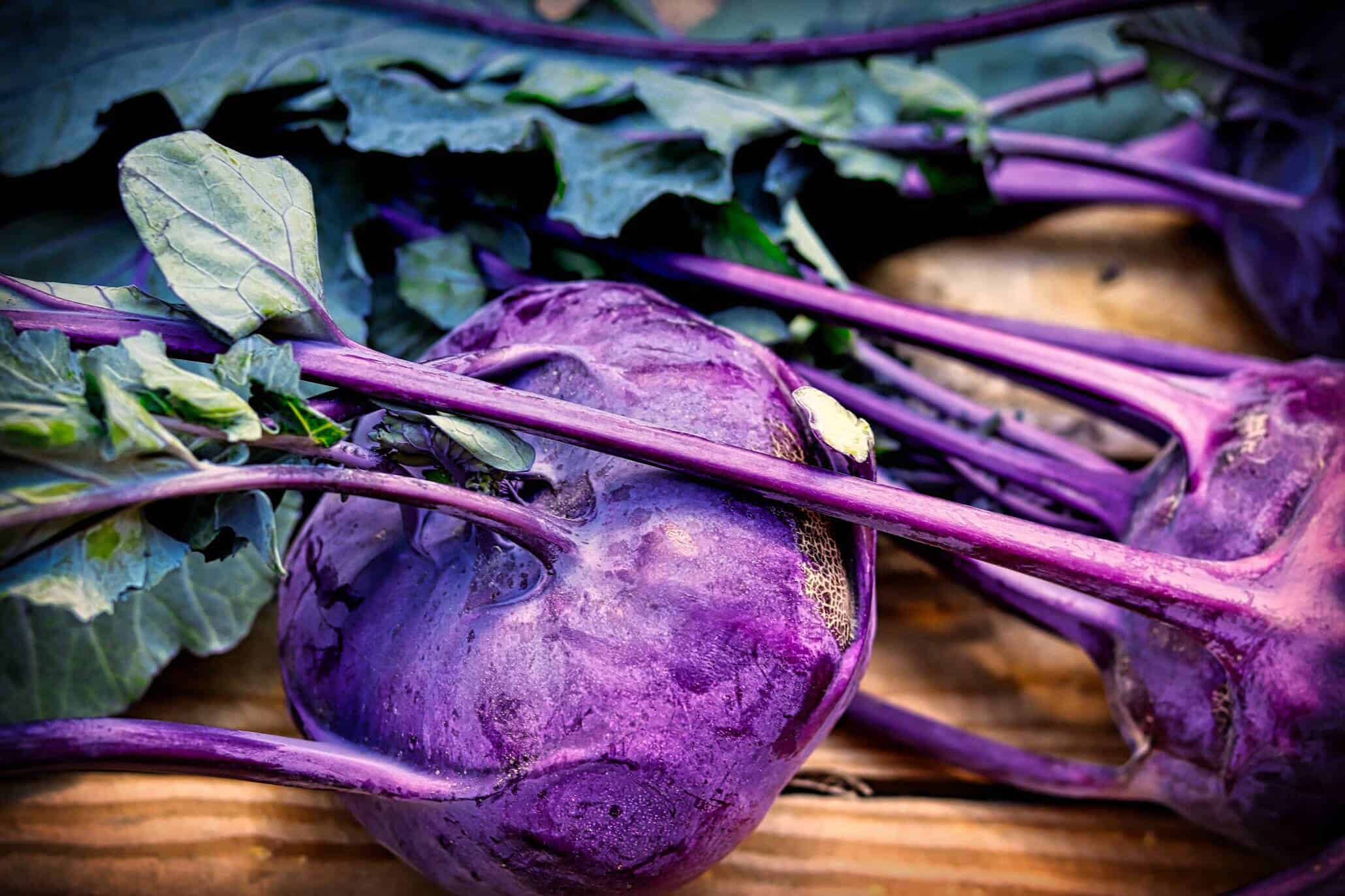 lila Kohlrabi gesund