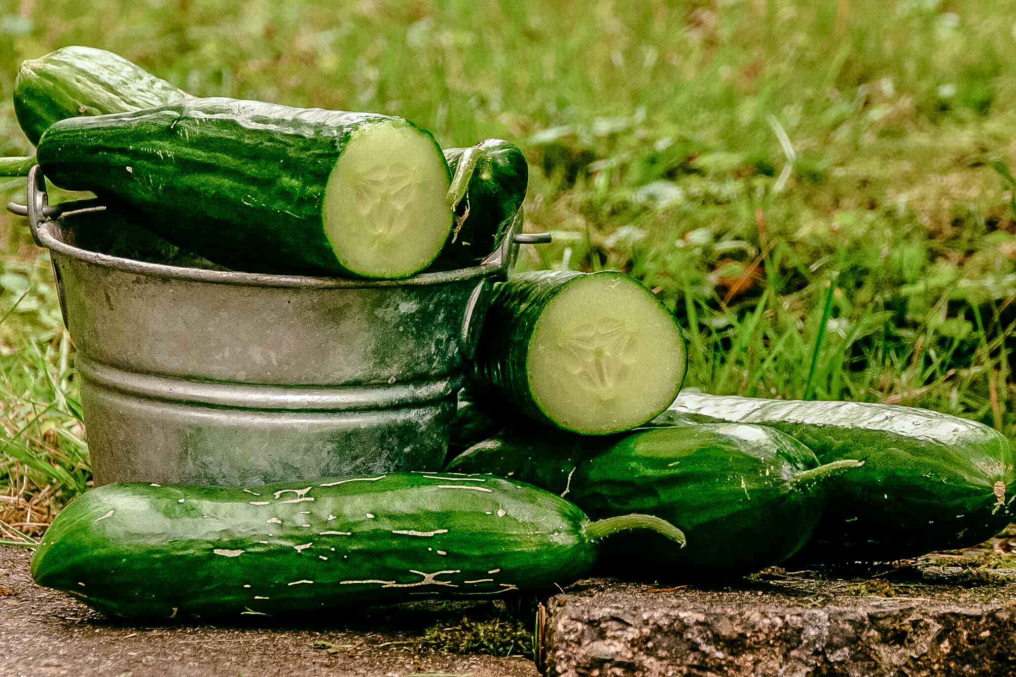 Das richtige Abendessen zum Abnehmen - Essen Gesundheit