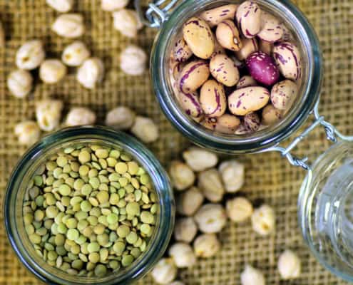 Eiweißversorgung vegetarisch & vegan