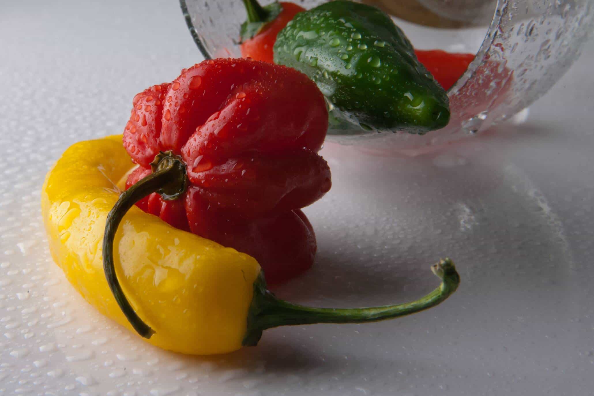 Habanero und andere Chili