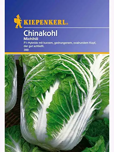 Chinakohl Michihili oval