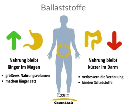 Infografik zu Ballaststoffen im Magen und Darm