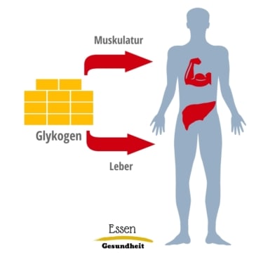 Glykogenspeicher