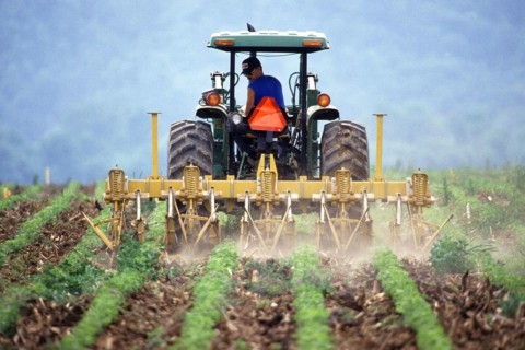 Bio-Produkte sind gesünder